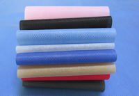 集宁涤纶（PET）无纺布是什么